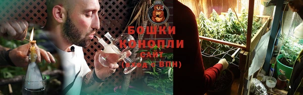 Альфа ПВП Няндома