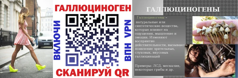 Псилоцибиновые грибы Cubensis  OMG ТОР  Кудымкар 